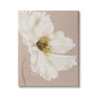 Stupell Industries Sažetak cvijet bijele latice ekspresivni cvijet bež zelena, 20, dizajn Patricie Pinto