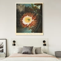 Wynwood Studio Floral and Botanical Wall Art Canvas Prints 'Night Blooming Cereus' Florals-Orange, Brown