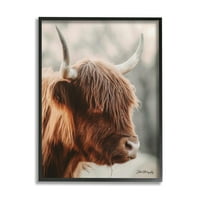Stupell Industries mirna brdska krava goveda Portretni rogovi fotografija fotografija Crni uokvireni umjetnički