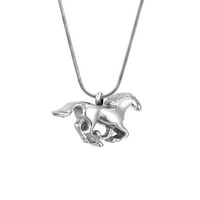 Anavia ogrlica za kremaciju konja spomen Jewelr urna držač pepela posuda od nerđajućeg čelika sa besplatnim
