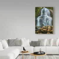 Zaštitni znak Likovna umjetnost' ljetni vodopad ' platno Art Brenda Petrella Photography Llc