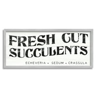 Stupell Industries Fresh Cut Sukulenti Antique Style Zrno znakografiju Grafikon Umjetnost Siva uokvirena