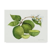Zaštitni znak likovne umjetnosti' Citrus Garden IV ' platnena Umjetnost Kathleen Parr McKenna