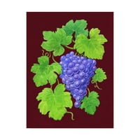 Zaštitni znak likovne umjetnosti 'grožđe Burgundija' umjetnost geraldine aikman