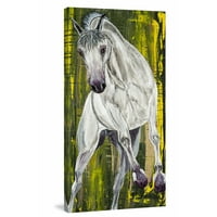 Balthazar Lipizzan konj otisak slike na omotanom platnu