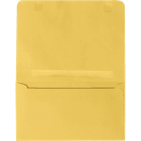 LUXPaper 2-Koverte Za Doznake, 1 2, Goldenrod, 500 Pakovanja