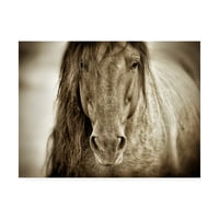 Zaštitni znak likovne umjetnosti' Mustang Sally Horse ' platno Umjetnost Lisa Dearin