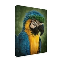Zaštitni znak likovne umjetnosti' papagaj Totem ' platnena Umjetnost Patricka Lamontagnea