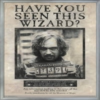 Svijet čarobnjaka: Harry Potter - Sirius crni željeni poster za poster, 22.375 34