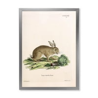 DESIMANT Drevni zečevi u zemljinoj tonovi seoski kuća uramljeni umjetnički print