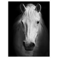 Designart 'bijeli konj crno-bijeli' umjetnički Print na životinjskom platnu