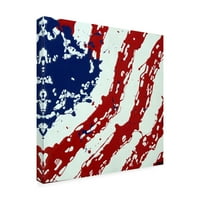 Zaštitni znak likovne umjetnosti' American Flag Splash ' platnena Umjetnost Rodericka Stevensa