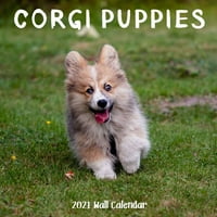 Corgi Puppy Wall Calendar: Corgi Puppy Calendar, Mjeseci
