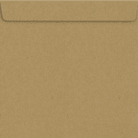 LUXPaper Square pozivnice koverte, 1 2, lb. Torba Za Namirnice Brown, Pakovanje