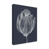 Zaštitni znak likovne umjetnosti 'Monochrome Tulip I' platnena Umjetnost Jennifer Goldberger
