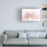 Jacky Parker' Spring Blossom ' Canvas Art